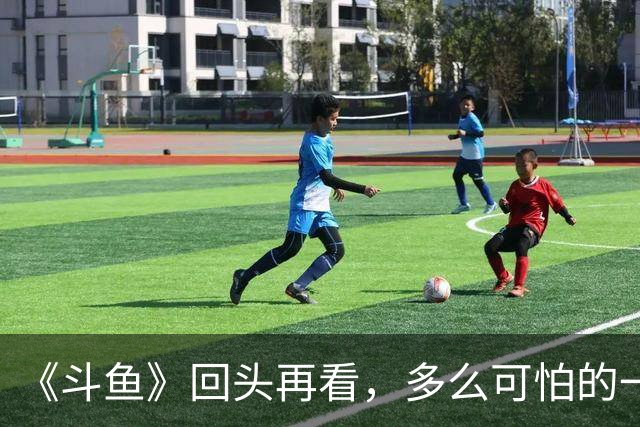 《斗鱼》回头再看，多么可怕的一部偶像剧！