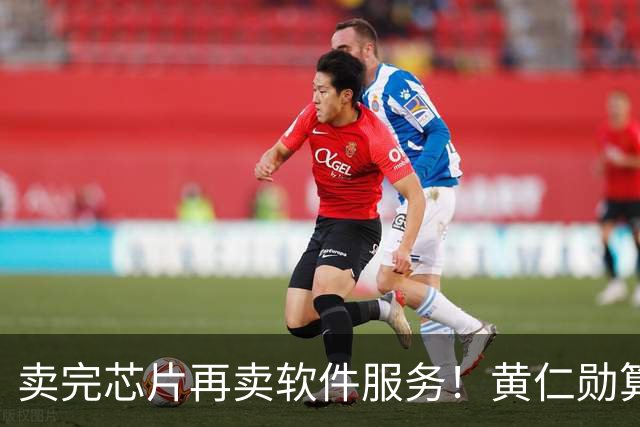 卖完芯片再卖软件服务！黄仁勋算盘打得响，英伟达又要大赚特赚？