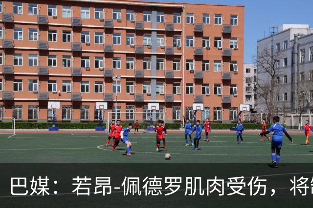 巴媒：若昂-佩德罗肌肉受伤，将缺席巴西队11月集训