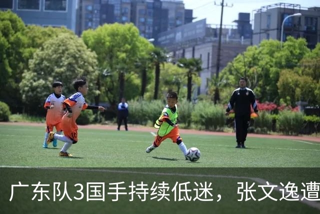 广东队3国手持续低迷，张文逸遭到弃用，杜锋有望回归