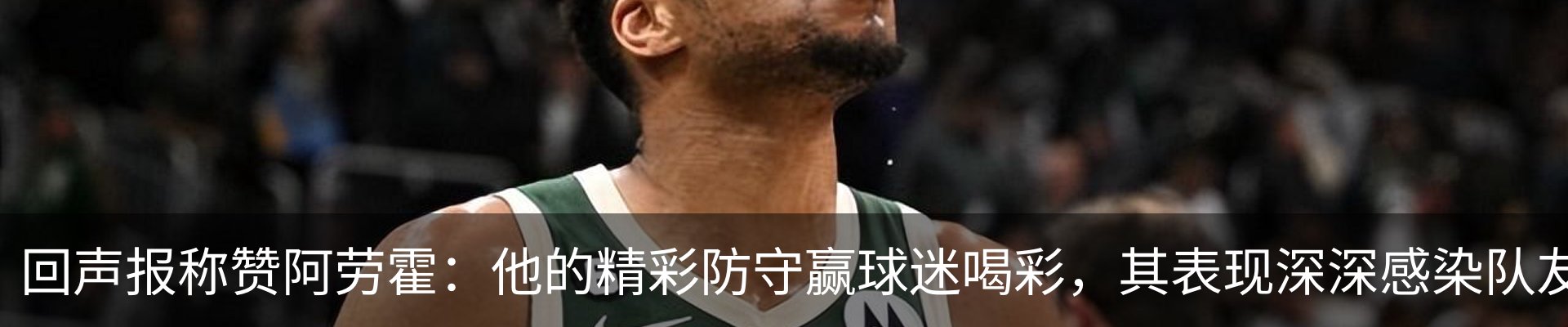 最新动态