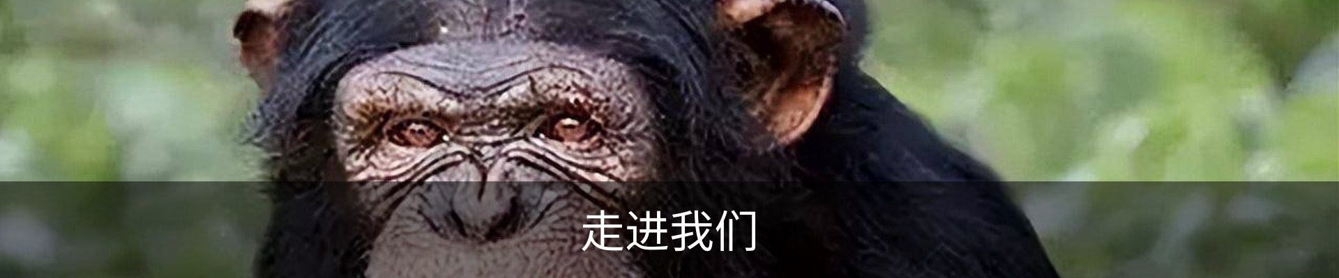 走进我们